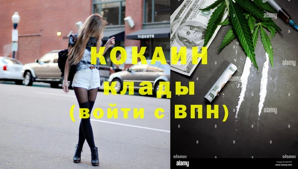 дмт Няндома