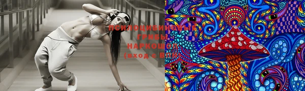 дмт Няндома