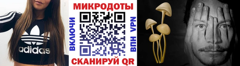 kraken Екатеринбург Галлюциногенные грибы GOLDEN TEACHER