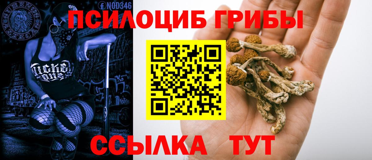 Псилоцибиновые грибы GOLDEN TEACHER  Вход с VPN  Екатеринбург  Псилоцибиновые грибы ЛСД 