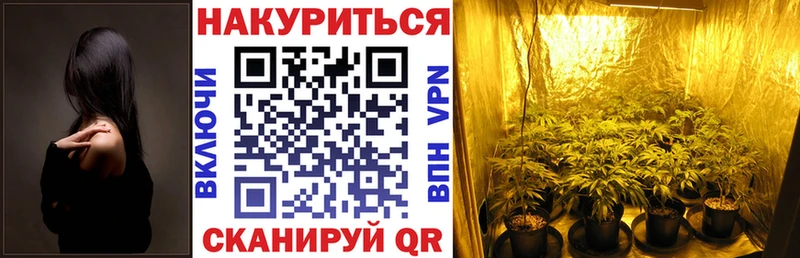 закладки  Екатеринбург  Марихуана план 